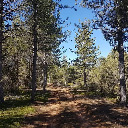 Enclave Soria Hotel 4*