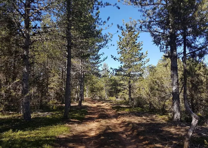 Enclave Soria Hotel 4*